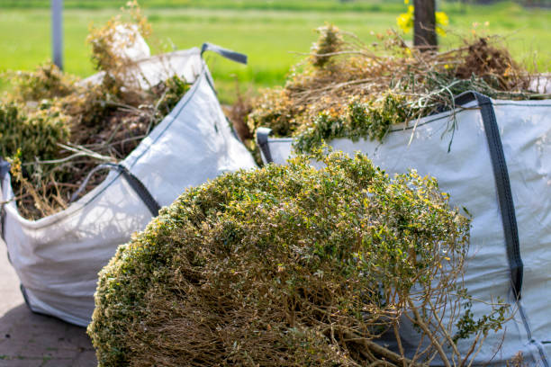 Best Trash Removal Near Me  in Harlan, IA