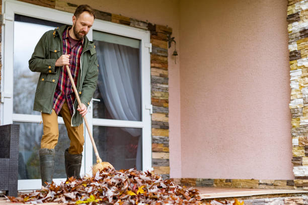 Best Junk Removal for Businesses  in Harlan, IA